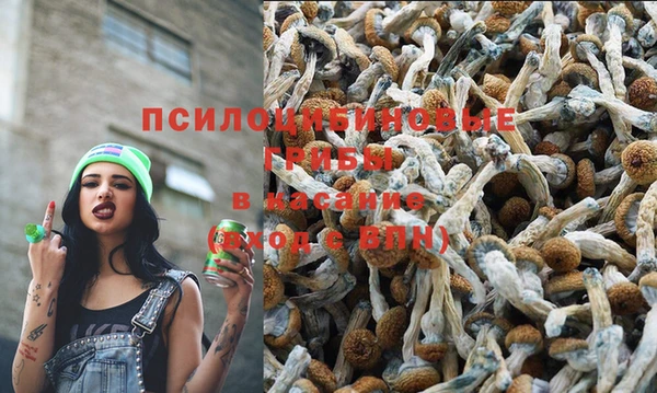 амф Алзамай