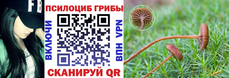 Псилоцибиновые грибы Cubensis Липки